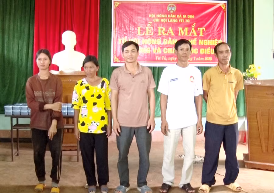 Các thành viên tổ hội nông dân nghề nghiệp trồng và chăm sóc điều thôn Yít Tú ra mắt tại buổi lễ. Ảnh: Thanh Tịnh