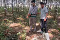 35 giờ phá án bắt đối tượng trộm két sắt, thu giữ hàng trăm triệu đồng