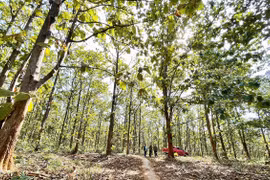 Rừng gỗ tếch - suối Đôi: Hướng mở cho du lịch sinh thái vùng biên Ia Dom