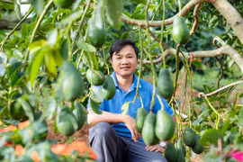 Khơi sáng những miền quê đáng sống - Bài 3: Sống rất gần với gỗ, cây, núi rừng và với đất