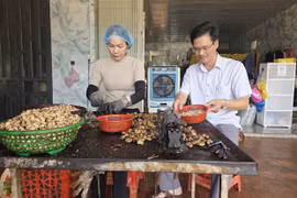 Giá điều tăng, nông dân vùng biên Gia Lai vui nhưng vẫn lo mưa.