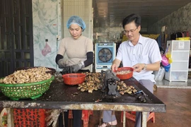 Giá điều tăng, nông dân vùng biên Gia Lai vui nhưng vẫn lo mưa.