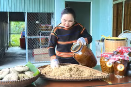 Gia Lai: Vùng dân tộc thiểu số đổi thay nhờ chuyển đổi số 