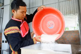 Tạo sinh kế bền vững cho thanh niên Jrai từ mô hình hợp tác xã.