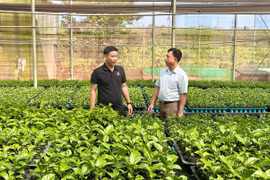 Chư Sê bứt phá với nông nghiệp công nghệ cao.