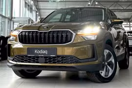 Skoda Kodiaq 2025 sắp ra mắt tại Việt Nam, giá cao nhất khoảng 1,6 tỷ đồng