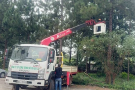 Công ty cổ phần Công trình Đô thị Gia Lai huy động lực lượng, phương tiện trực chiến 24/24 giờ để ứng phó bão số 13.