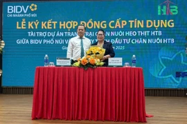 BIDV Chi nhánh Phố Núi tài trợ 118 tỷ đồng cho dự án chăn nuôi heo thịt HTB