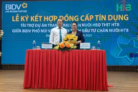 BIDV Chi nhánh Phố Núi tài trợ 118 tỷ đồng cho dự án chăn nuôi heo thịt HTB