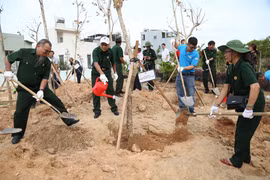 Các cựu chiến binh phường Quy Nhơn Nam tham gia hoạt động trồng cây xanh tại khu vực Dự án Phú Gia Royal Park Quy Nhơn. Ảnh: Tiến Sỹ