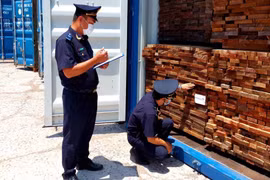 A1: Hải quan cửa khẩu cảng Quy Nhơn kiểm tra hàng hóa xuất nhập khẩu. Ảnh: T.SỸ