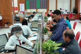 Nhiều khách hàng tiếp cận và vay vốn từ Agribank Bình Định. Ảnh: T.SỸ