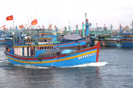 Đẩy nhanh tiến độ giải ngân dự án khu neo đậu tránh trú bão đầm Đề Gi