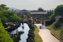 Ngắm vườn bonsai lá kim theo phong cách Nhật Bản ở Phố núi Pleiku