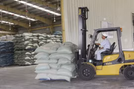 Hoạt động sản xuất thức ăn gia súc của Công ty TNHH ANT tại Khu công nghiệp Nhơn Hòa. 