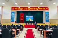 Hội thảo chuyển đổi số, nâng cao năng lực và kết nối cho hệ sinh thái khởi nghiệp đổi mới sáng tạo
