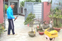 Chuyển đổi số lan tỏa sâu rộng vào đời sống