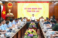 Gia Lai phấn đấu kéo giảm 5% trên cả 3 tiêu chí về tai nạn giao thông