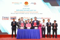 Phát triển khu công nghiệp Becamex VSIP Bình Định theo hướng xanh, bền vững