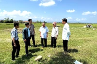 Phục vụ Dự án xây dựng đường bộ cao tốc Quy Nhơn - Pleiku: Dân vận khéo, tạo đồng thuận trong giải phóng mặt bằng