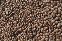 Giá cà phê giảm nhẹ, tụt khỏi mốc 94.000 đồng/kg