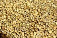 Ngày 18-2, giá cà phê thế giới giảm sâu hơn 4%