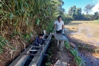 Khẩn trương sửa chữa kênh mương sản xuất vụ Đông Xuân 2025-2026