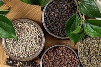 Giá cà phê “hạ nhiệt”, hồ tiêu tăng trở lại sau nhiều ngày đứng im