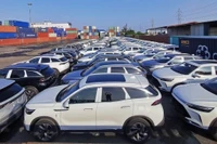 Việt Nam chi 4,74 tỷ USD nhập khẩu ô tô trong năm 2025, tăng hơn 31%