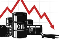 Giá dầu thế giới giảm sâu gần 3% trong ngày 13-2