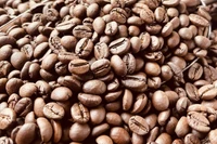 Giá cà phê khởi sắc trở lại, vượt mốc 96.000 đồng/kg