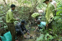 Gia Lai: Thả 20 cá thể động vật rừng quý hiếm về Vườn Quốc gia Kon Ka Kinh