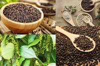 Giá hồ tiêu tăng vọt đến 3.000 đồng/kg, cà phê tiến sát mốc 102.000 đồng