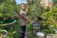 Bắt đối tượng trộm cắp cây cảnh tại Mang Yang