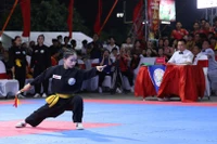 Vận động viên Gia Lai thi đấu tại Giải vô địch võ cổ truyền quốc gia lần thứ 34 năm 2025. Ảnh: H.V