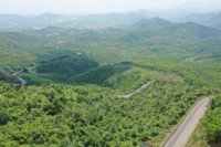 Dự án cao tốc Quy Nhơn-Pleiku sẽ có 2 công trình hầm cấp đặc biệt qua đèo An Khê và đèo Mang Yang. Ảnh: Quang Tấn