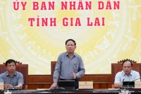 Chủ tịch UBND tỉnh Phạm Anh Tuấn phát biểu chỉ đạo tại cuộc họp. Ảnh: N.H