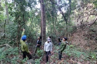 Các hộ nhận khoán quản lý, bảo vệ rừng của Vườn quốc gia Kon Ka Kinh phối hợp tuần tra, kiểm soát diện tích rừng nhận khoán. Ảnh: N.D
