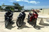 Tang vật vụ việc. Ảnh: N.M