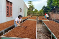 Gia Lai: Bãi bỏ ít nhất 30% điều kiện kinh doanh không cần thiết trong năm 2025