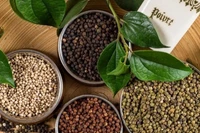 Ngày 24-8, giá hồ tiêu tại Gia Lai tăng lên mức 143.500 đồng/kg