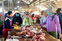 Tại miền Bắc và miền Trung-Tây Nguyên giá heo hơi tăng 1.000 đồng/kg trong ngày 28-9. Ảnh: M.T