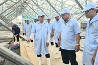 Triển khai quyết liệt, có hiệu quả công tác chống khai thác IUU