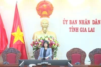 Triển khai các nhiệm vụ cấp bách liên quan đến Bệnh viện Đa khoa Gia Lai