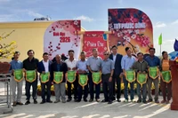 Khai mạc Phiên chợ hoa Xuân Tết Bính Ngọ 2026 tại xã Tuy Phước Đông.