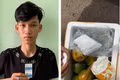 Khởi tố đối tượng vận chuyển gần 100 gam ma túy ngụy trang trong thùng cam