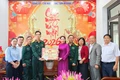 Phó Chủ tịch HĐND tỉnh Huỳnh Thúy Vân thăm, chúc Tết Trung tâm Huấn luyện quân sự quốc gia II