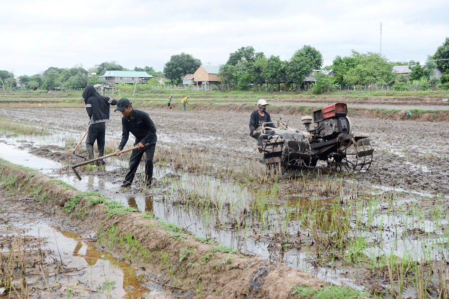 Nông dân xã Ia Tul chuẩn bị đất gieo sạ lúa vụ mùa. Ảnh: Đ.P Nông dân xã Ia Tul chuẩn bị đất gieo sạ lúa vụ mùa. Ảnh: Đ.P