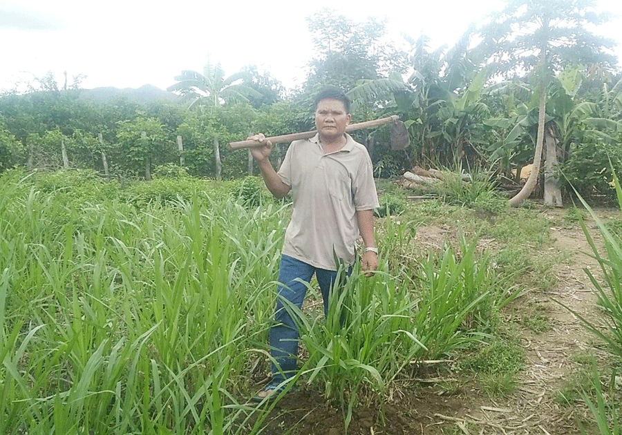 Ông Kpă Hương bên vườn cỏ của mình. Ảnh: N.S Ông Kpă Hương bên vườn cỏ của mình. Ảnh: N.S