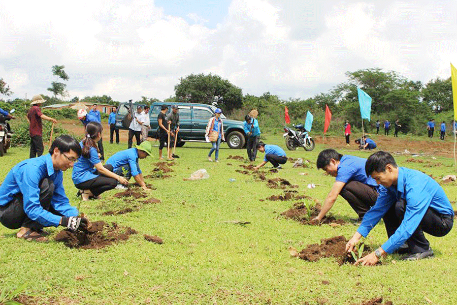 Đoàn viên thanh niên thực hiện Nghị quyết Đại hội Đoàn toàn tỉnh bằng những việc làm thiết thực tại cơ sở. Ảnh: P.L Đoàn viên thanh niên thực hiện Nghị quyết Đại hội Đoàn toàn tỉnh bằng những việc làm thiết thực tại cơ sở. Ảnh: P.L